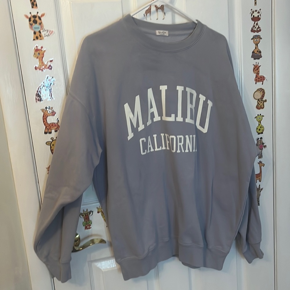 never worn, oversized pacsun crew neck